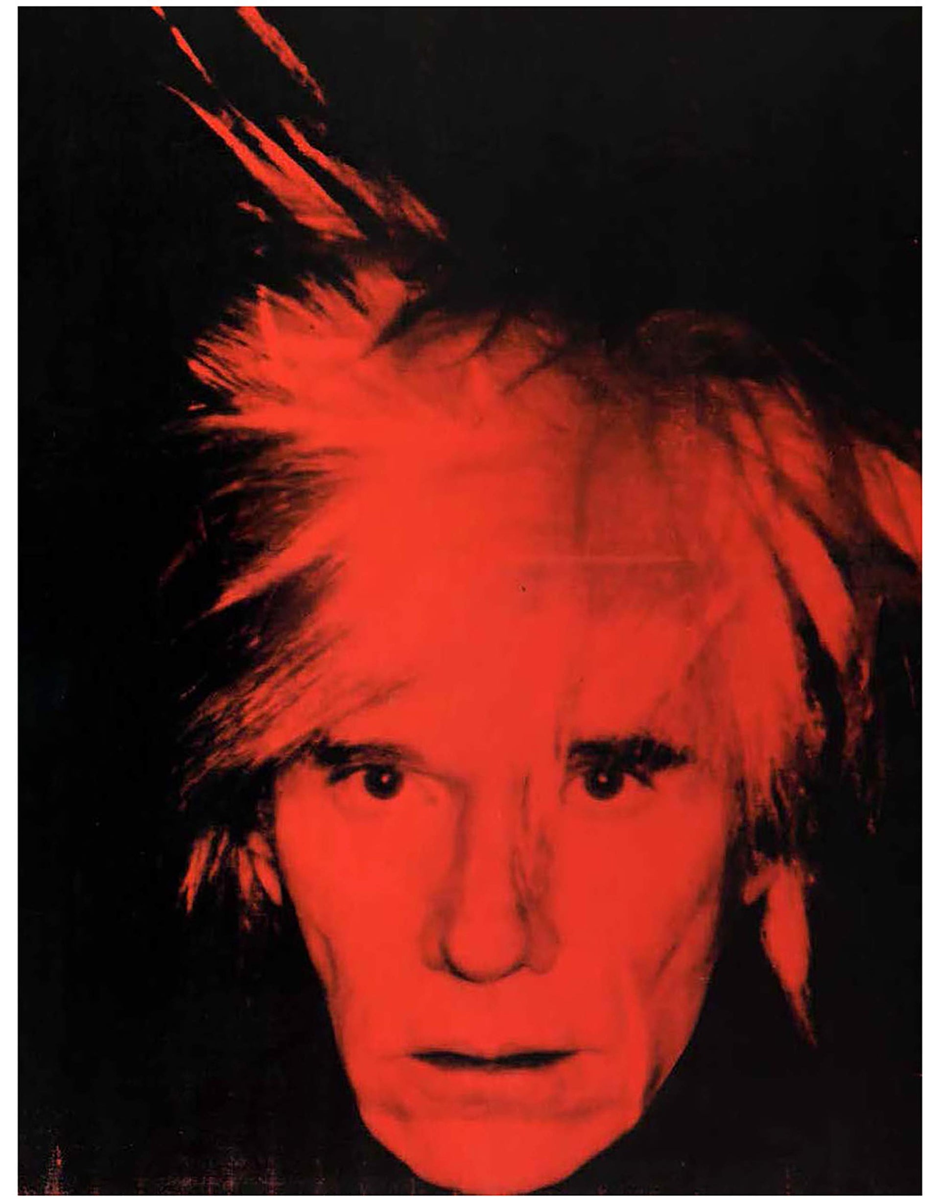 Andy Warhol Book