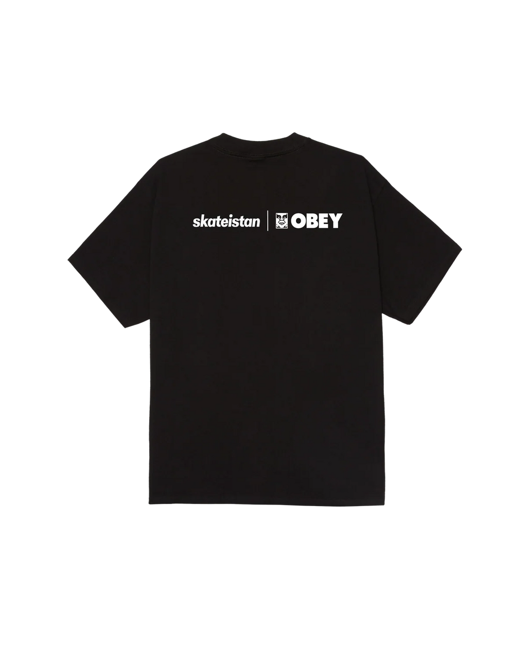 SKATEISTAN / CLASSIC T-SHIRT