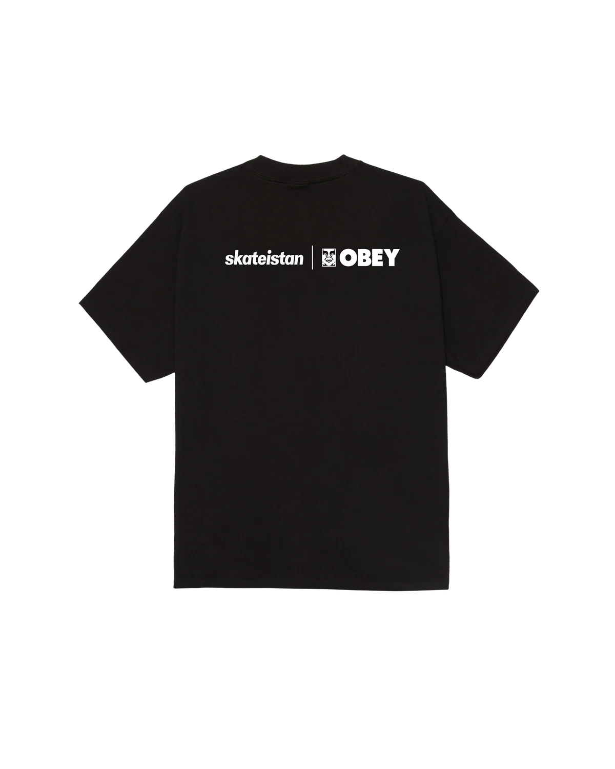 SKATEISTAN / CLASSIC T-SHIRT