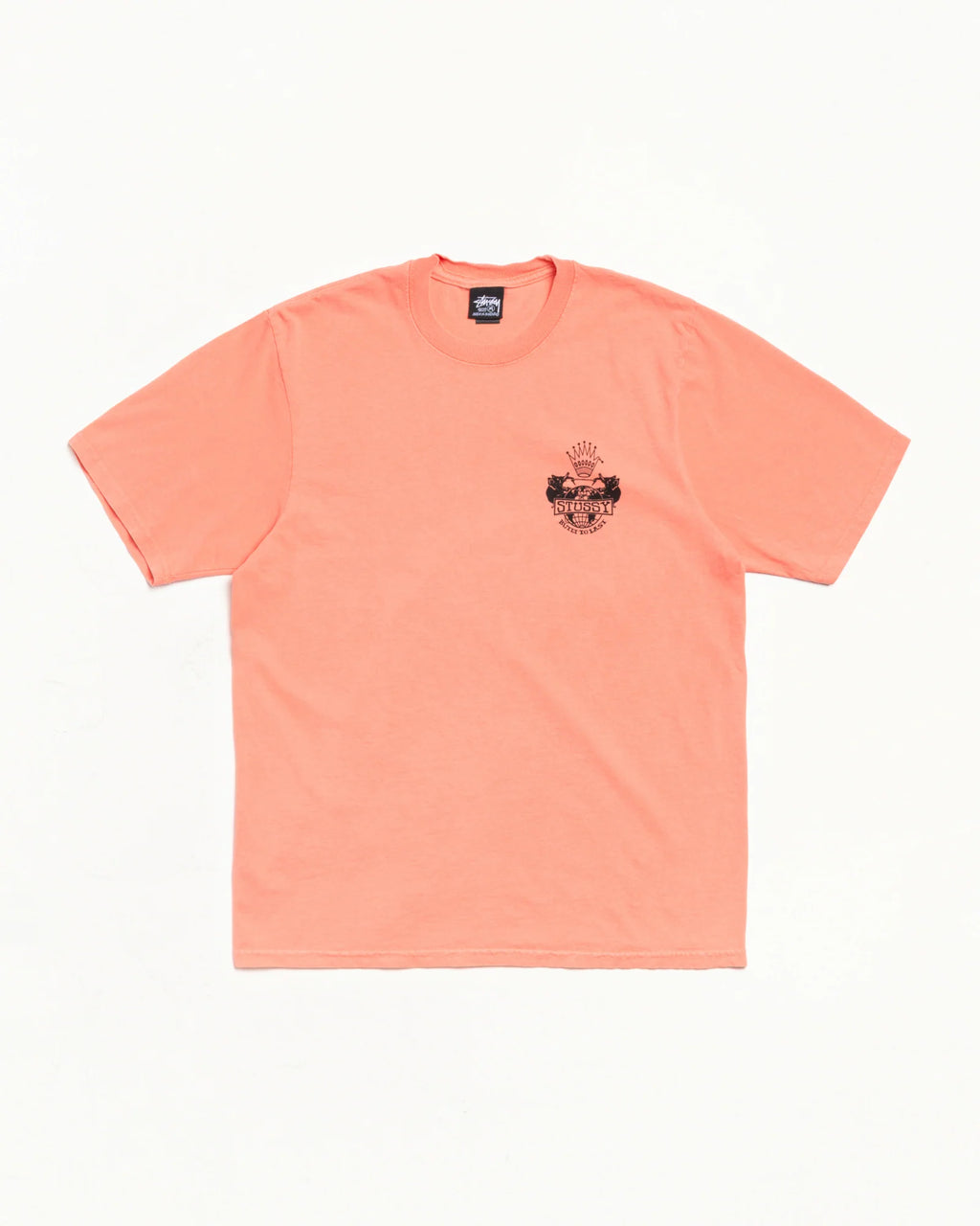 BUILT TO LAST PIG. DYED TEE SHERBERT
