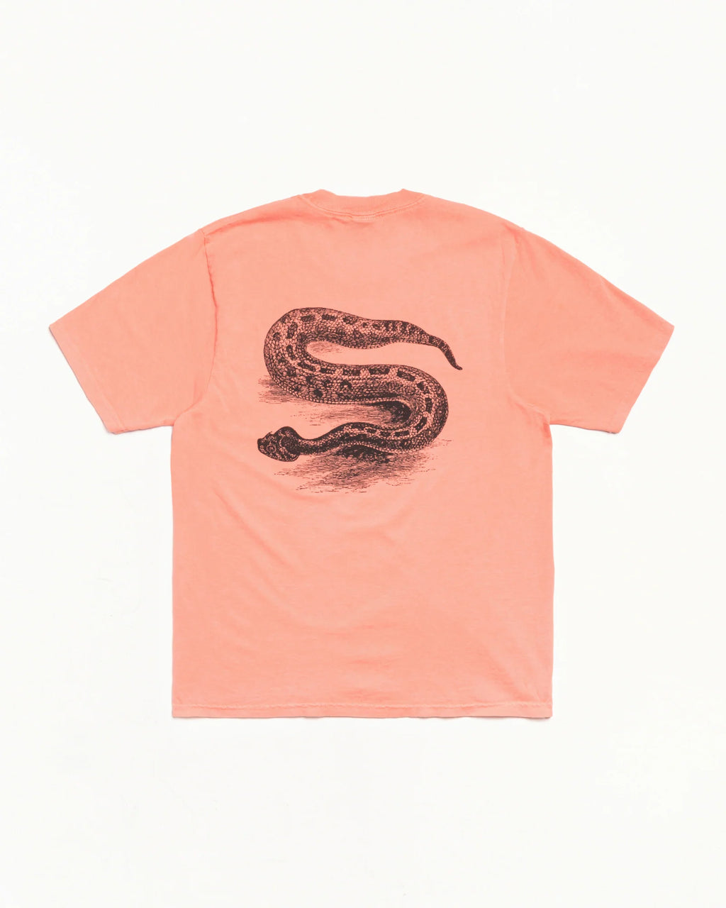 SERPENT PIG. DYED TEE SHERBERT