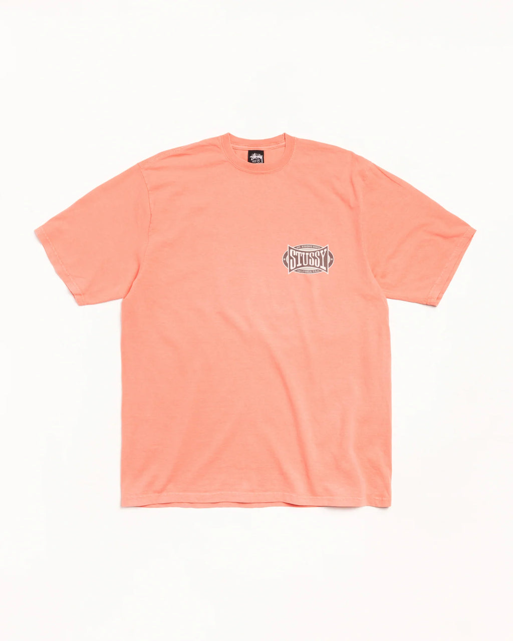 CHAMPION OVAL PIG. DYED TEE SHERBERT