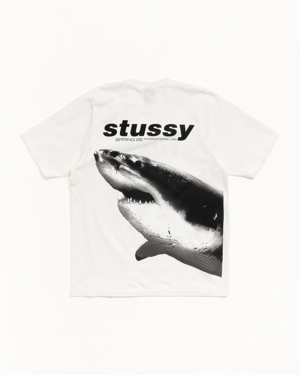 SHARK PIG. DYED TEE NATURAL