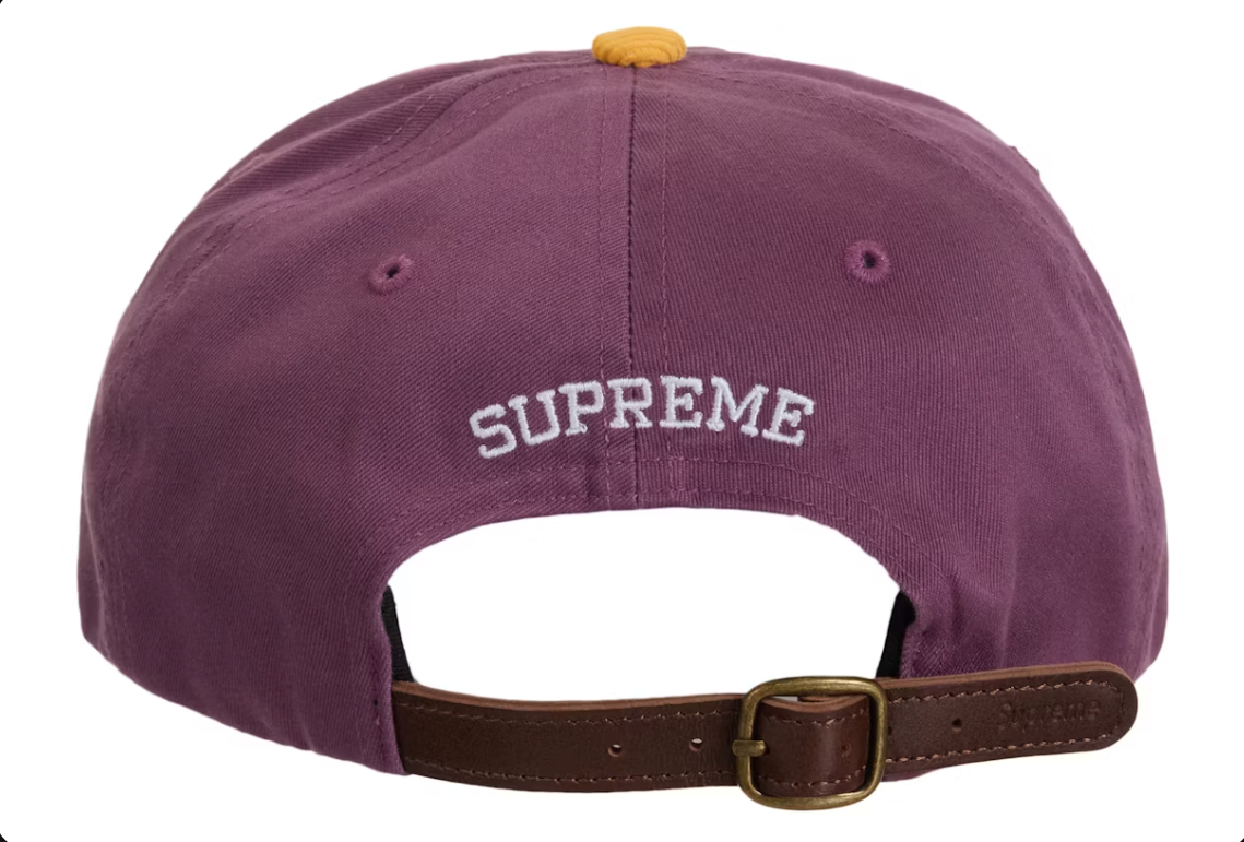 2 TONE S LOGO 6- PANEL DUSTY PURPLE