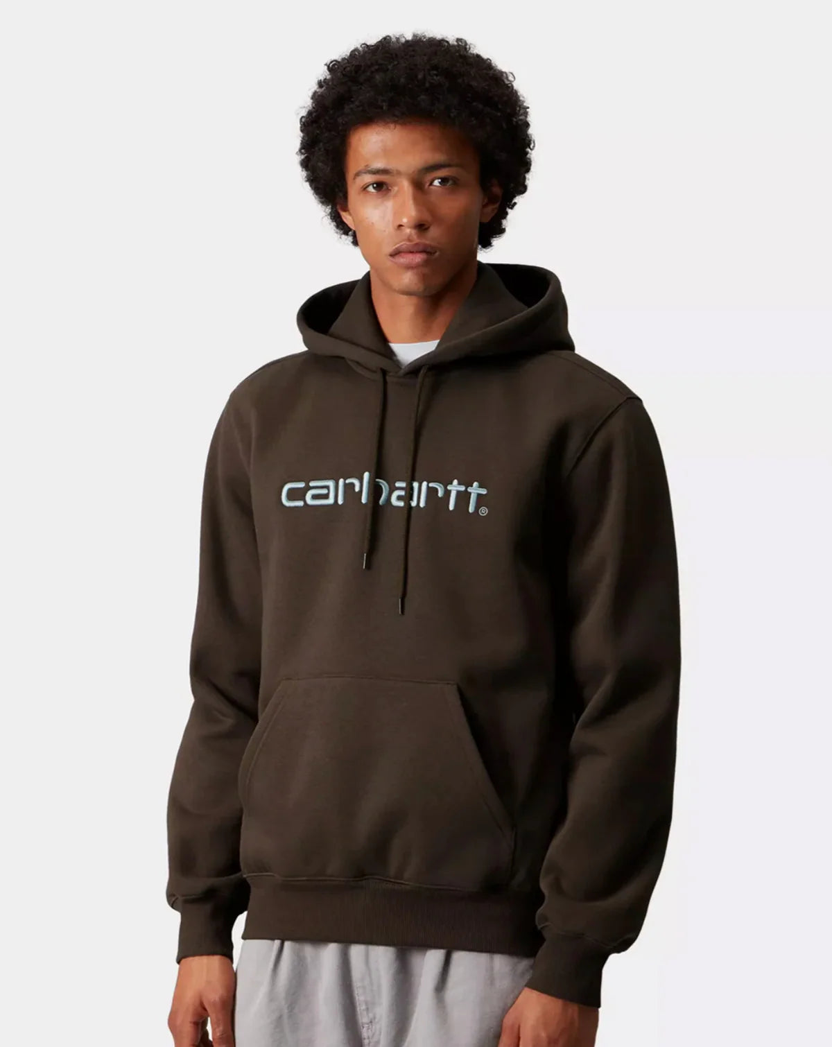 Hooded Carhartt Sweat - Vitola / Citadel