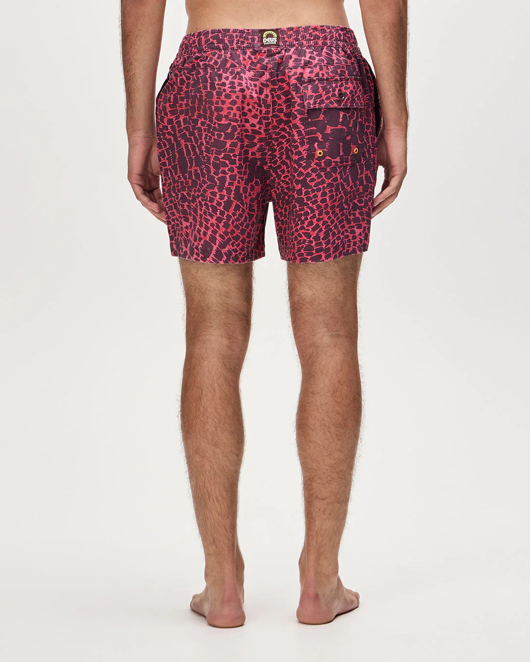 Zanzibar Short Raspberry