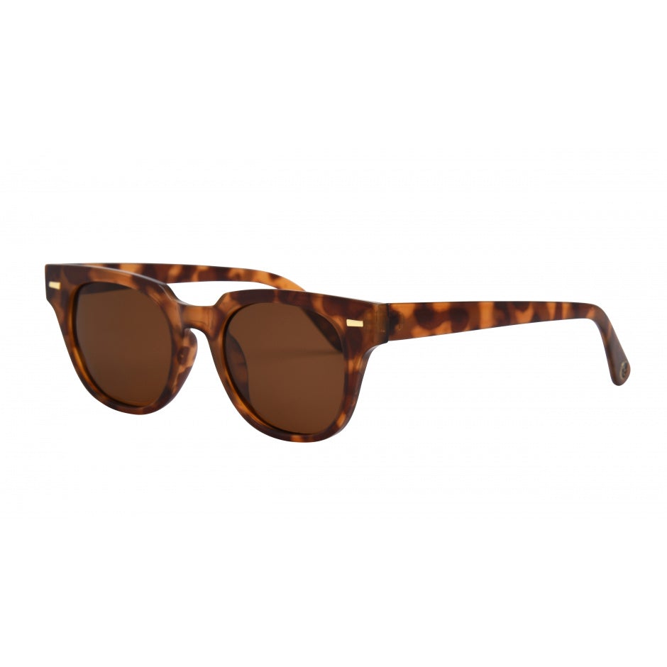 LIDO TORT / BROWN POLARIZED LENS