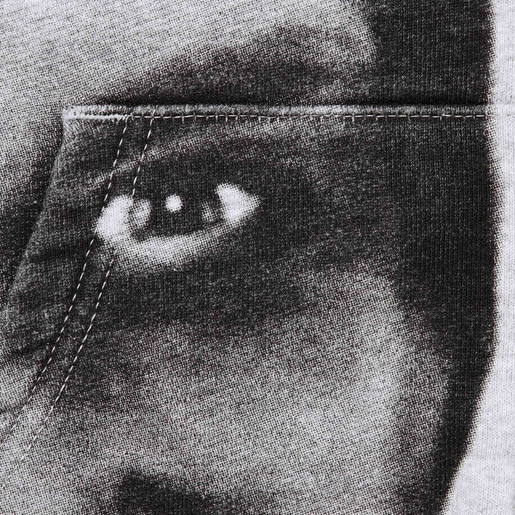 APHEX TEIN ZIP UP HOODED SWEATSHIRT HEATHER GREY