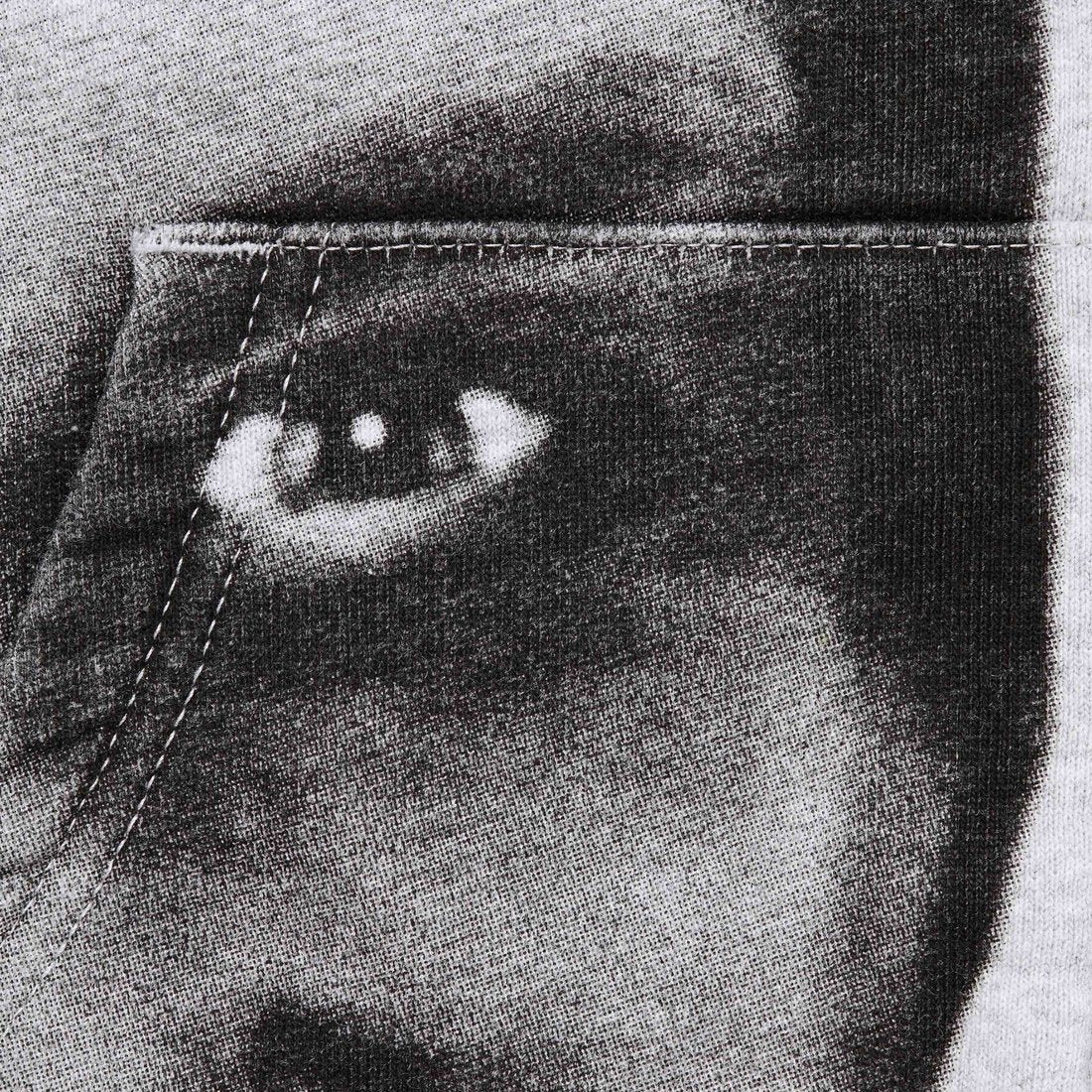 APHEX TEIN ZIP UP HOODED SWEATSHIRT HEATHER GREY