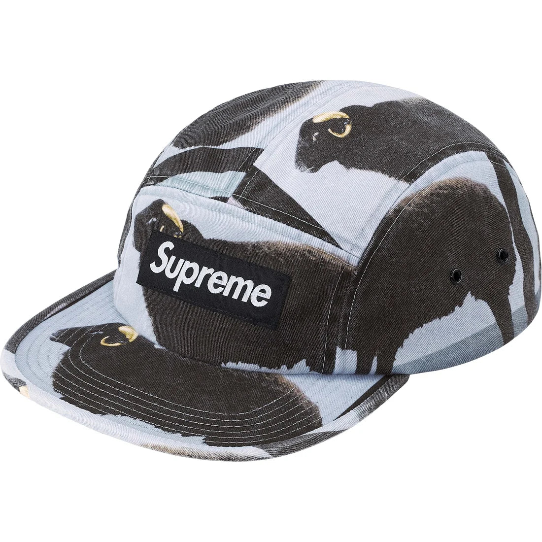 DAMIEN HIRST CAMP CAP BLACK OS